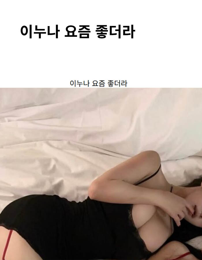 이누나 요즘 좋더라