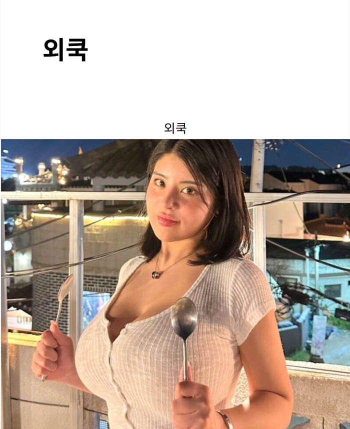 외쿡