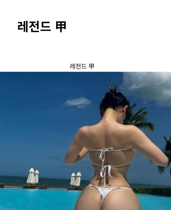 레전드 甲