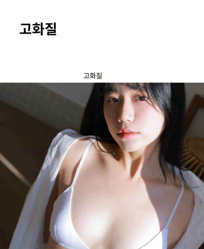 고화질