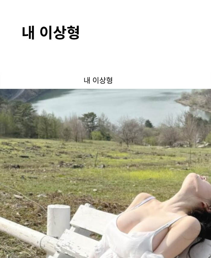 내 이상형