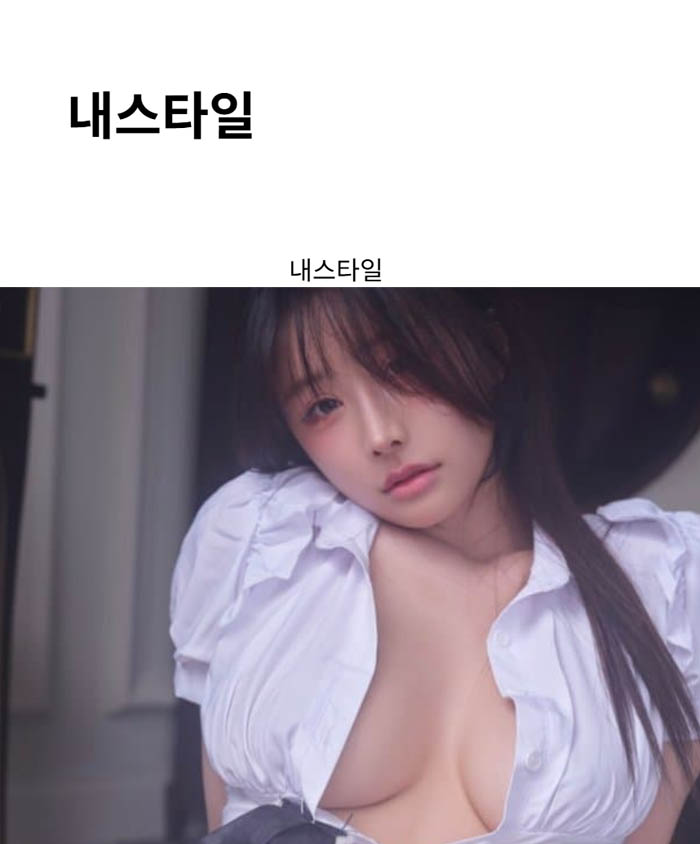 내스타일