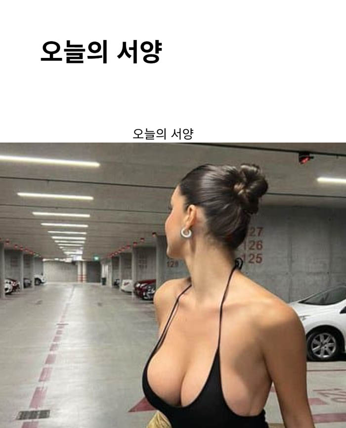 오늘의 서양