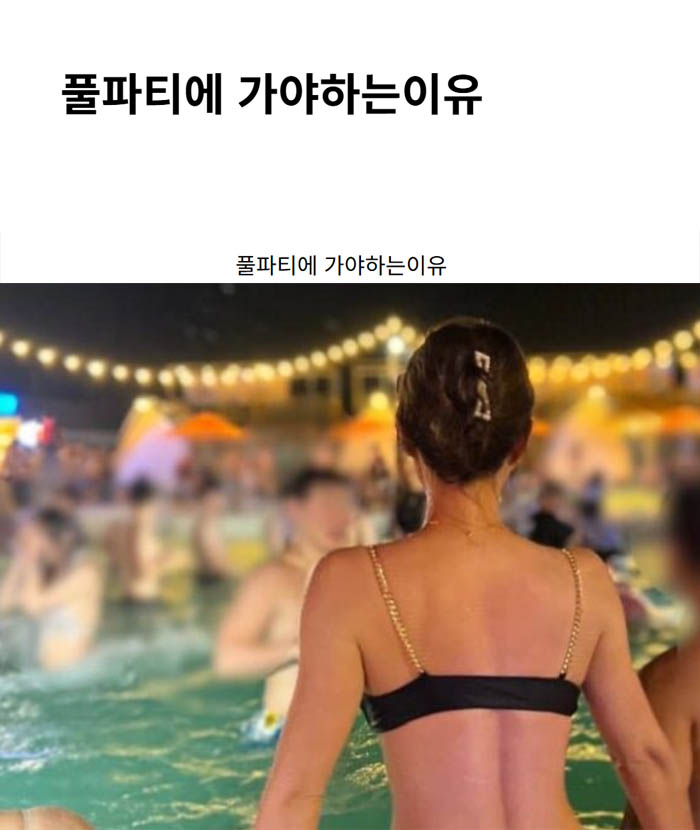 풀파티에 가야하는이유