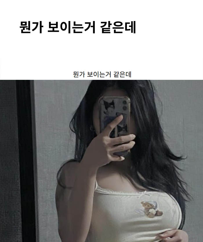뭔가 보이는거 같은데