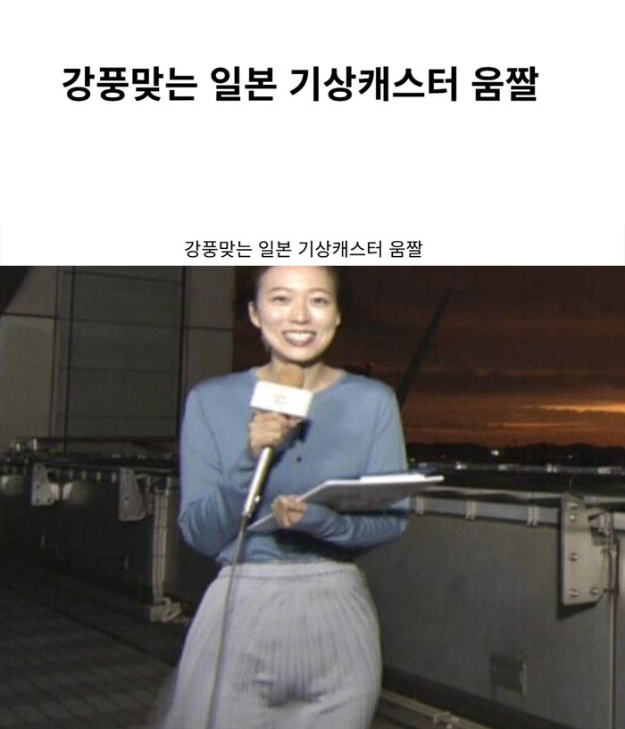 강풍맞는 일본 기상캐스터 움짤