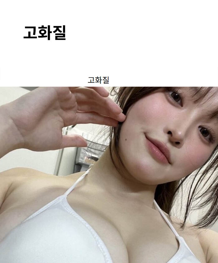 고화질