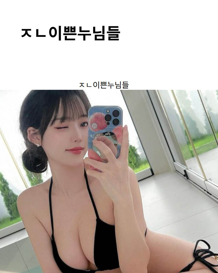 ㅈㄴ이쁜누님들