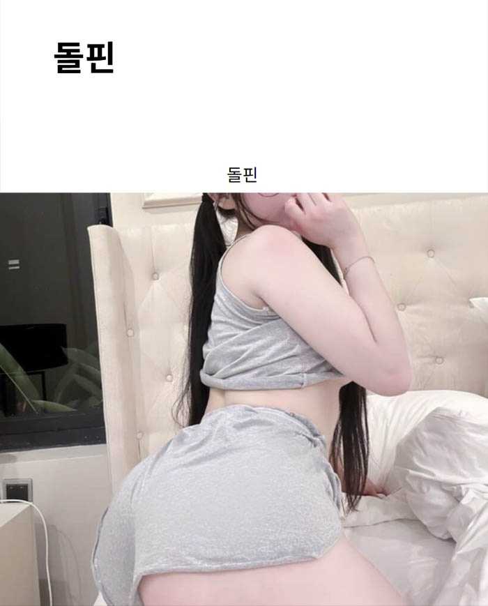 돌핀