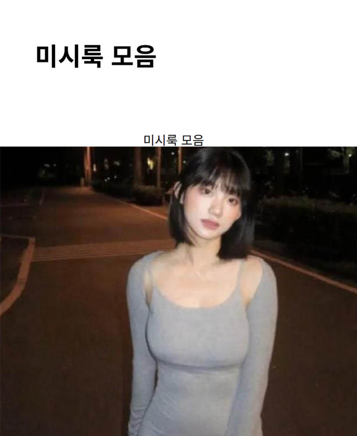 미시룩 모음