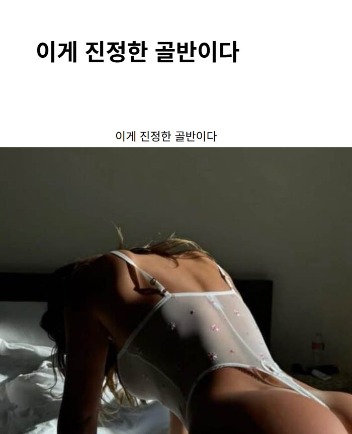 이게 진정한 골반이다