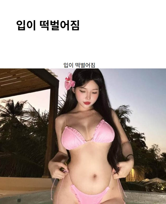 입이 떡벌어짐