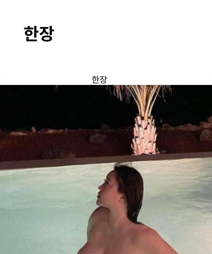 한장