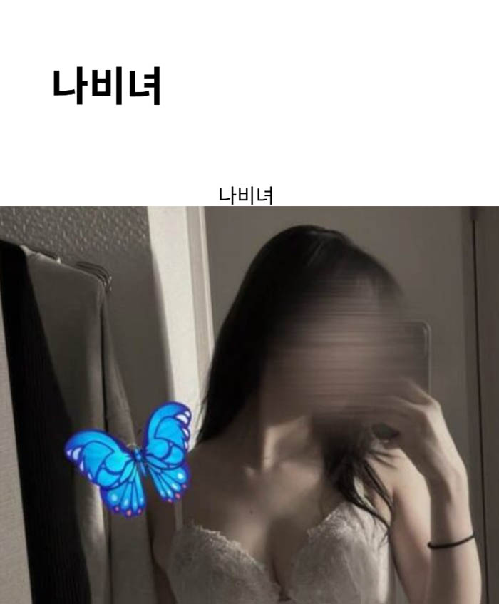 나비녀