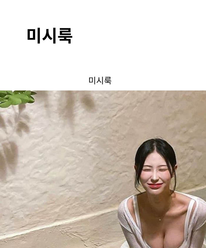 미시룩