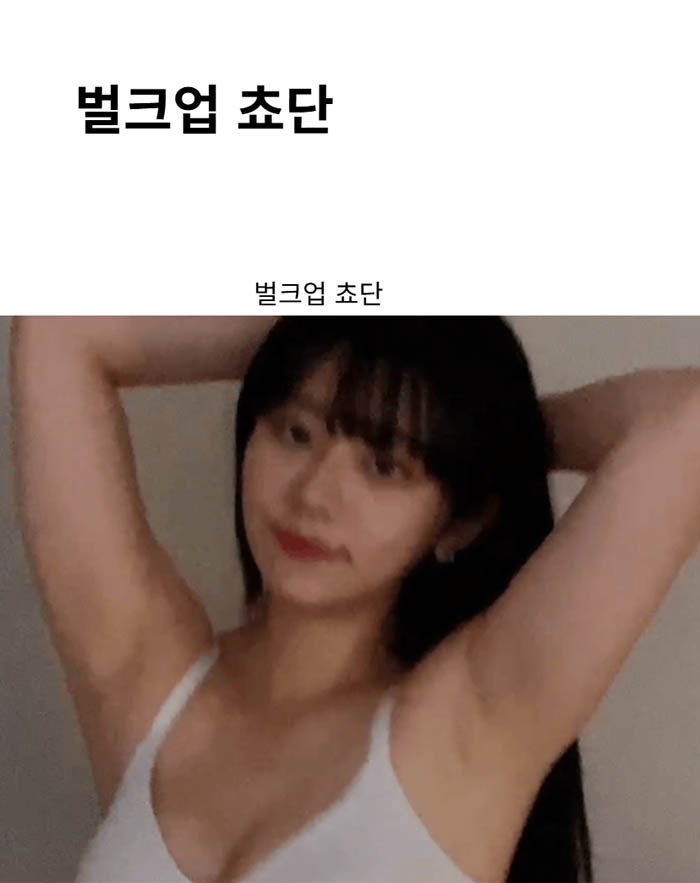 벌크업 쵸단