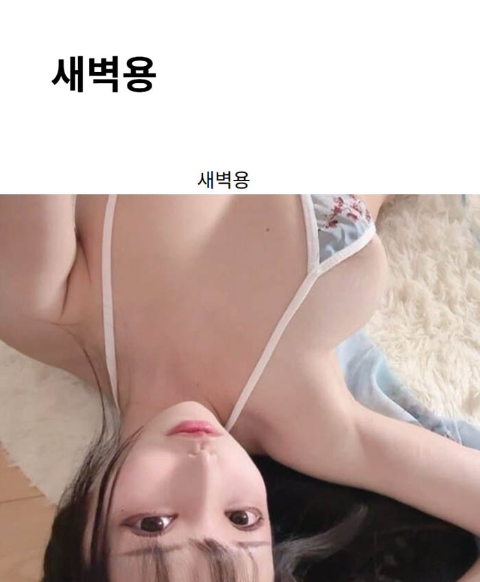 새벽용