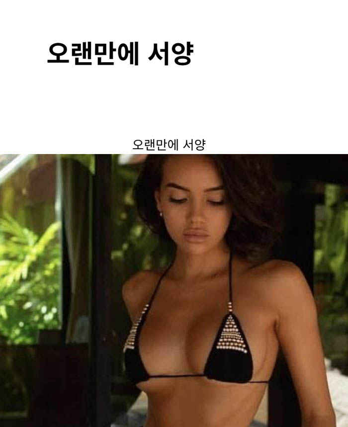 오랜만에 서양