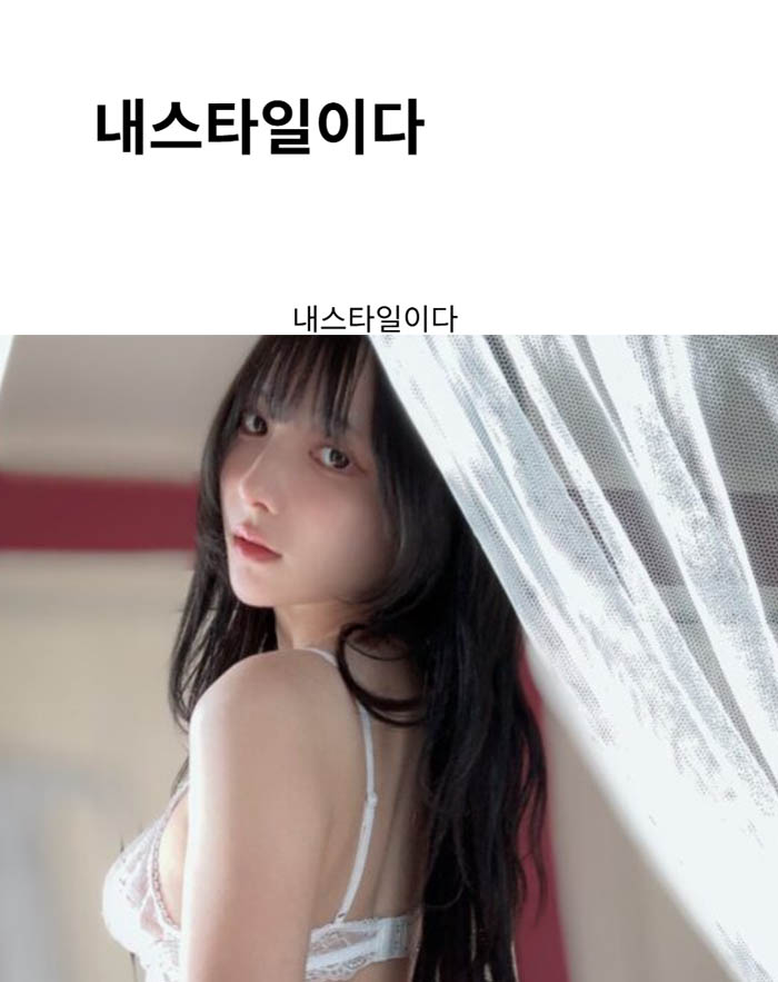 내스타일이다
