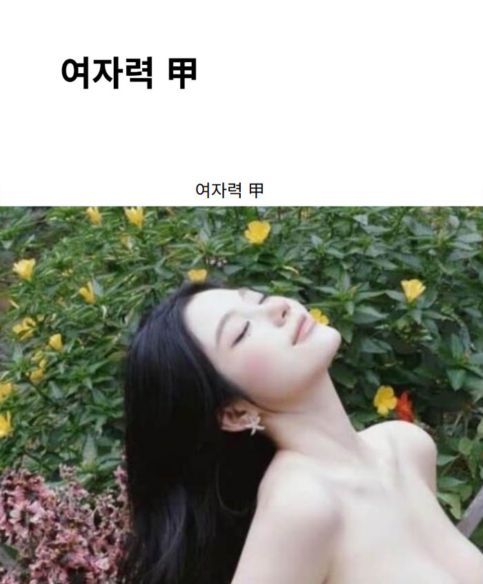 여자력 甲