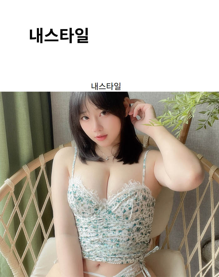 내스타일