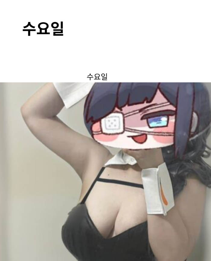 수요일