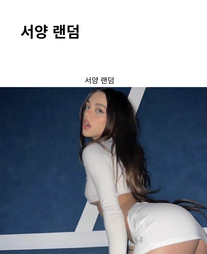 서양 랜덤