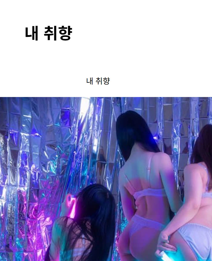 내 취향
