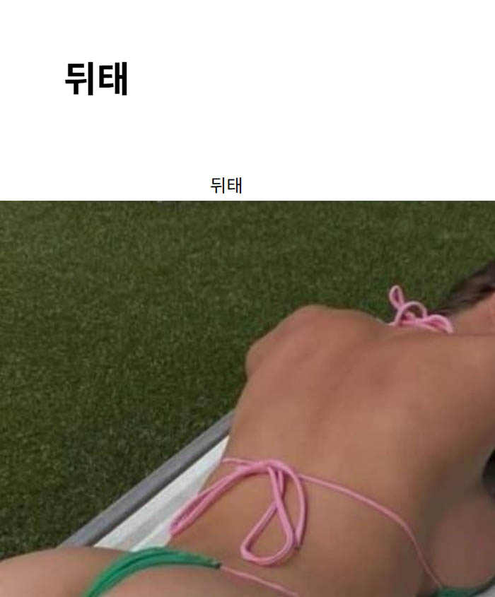 뒤태