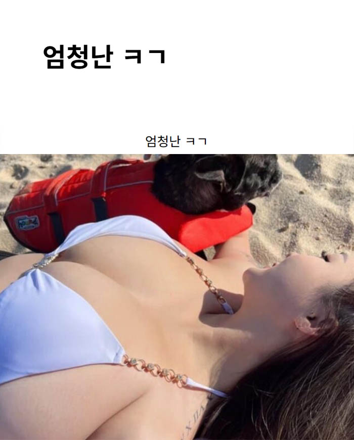 엄청난 ㅋㄱ